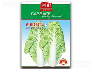 ��������5̖(h��o)-�ײ˷N��-����