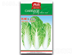 �F�����5̖-�ײ˷N��-����