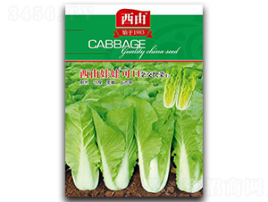 西由娃娃可口-白菜種子-西由