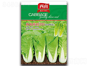 西由娃娃335-白菜種子-西由