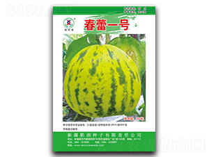 春蕾一號-甜瓜種子-聯(lián)創(chuàng)