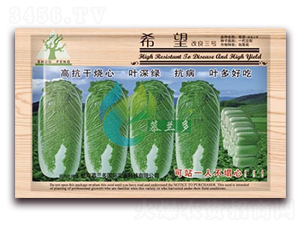 希望-白菜種子-慕蘭多