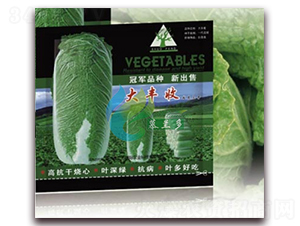 大豐收-白菜種子-慕蘭多