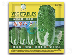 晶綠八號-白菜種子-慕蘭多