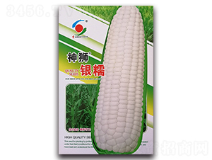 ��{�yŴ-Ŵ���׷N��-�����o