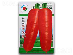 �º�������˅�-ˮ���}���N��-�����o