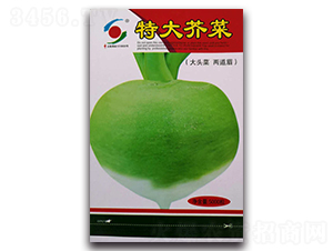 �ش��j��-ˮ���}���N��-�����o