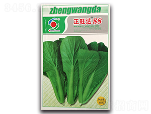 �����_(d��)88-�ײ˷N��-�����o(j��)