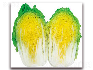 ���������-���޲˷N��-�����o(j��)