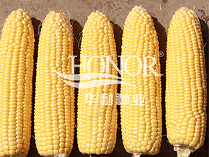 ���r(n��ng)��488-���׷N��-�A�ͷN�I(y��)