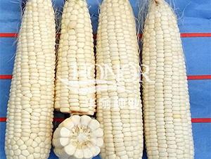 ��Ŵ182̖(h��o)-���׷N��-�A�ͷN�I(y��)