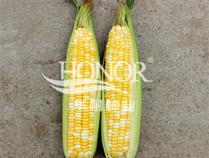 ������3̖(h��o)-���׷N��-�A�ͷN�I(y��)