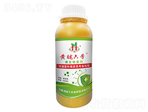 微生物菌劑-黃眬六號(hào)-國(guó)壬生物