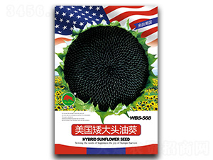 ���������^�Ϳ�-�����N��-��ʢ�N�I(y��)