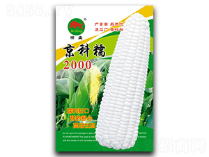 ����Ŵ2000-���׷N��-��ʢ�N�I(y��)