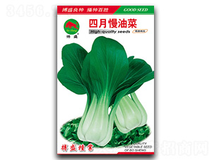 �������Ͳ�-�Ͳ˷N��-��ʢ�N�I(y��)