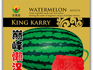 �p��Нh-���ϷN��-���P��