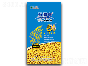 ��Ԫ����I�B(y��ng)��-�󶹰�����-�����S