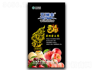 ��Ԫ����I�B(y��ng)��-���������-�����S