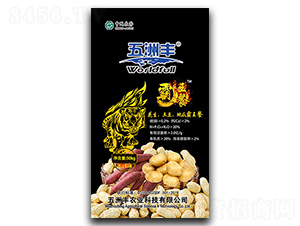 ��Ԫ����I�B(y��ng)��-�������������عϰ�����-�����S