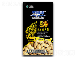 ��Ԫ����I�B(y��ng)��-����������-�����S