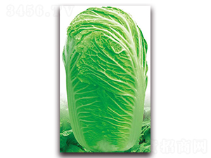 ���ݾ�̖(h��o)-�ײ˷N��-�����o(j��)