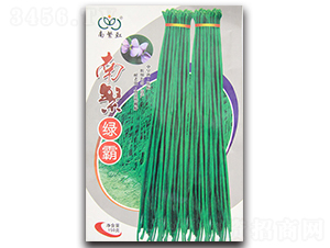 南繁綠霸-豇豆種子-杰優(yōu)種業(yè)