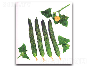 �L(zh��ng)�����~�S��-�S�ϷN��-�r(n��ng)����