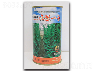 南繁一號-豇豆種子-杰優(yōu)種業(yè)