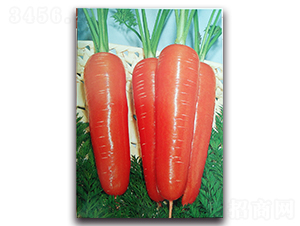 �����_-���}���N��-�r(n��ng)����