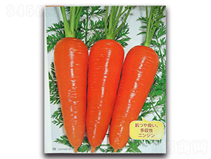 ����-���}���N��-�r(n��ng)����