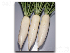 ����һ̖-�}���N��-�r(n��ng)����