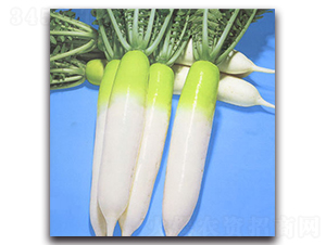 ���S�M-�}���N��-�r(n��ng)����