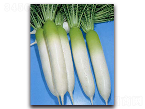 �������S�M-�}���N��-�r(n��ng)����