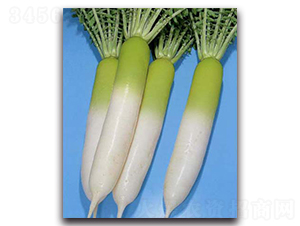 �ɹ��S�M-�}���N��-�r(n��ng)����