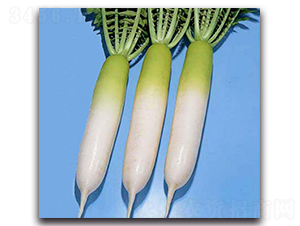 ����-�}���N��-�r(n��ng)����