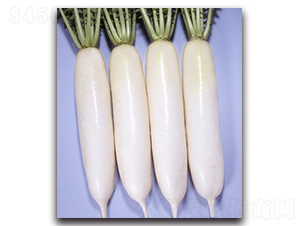 ��Ů-�}���N��-�r(n��ng)����