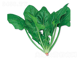 �{(l��n)��ʯ-���˷N��-�r(n��ng)����