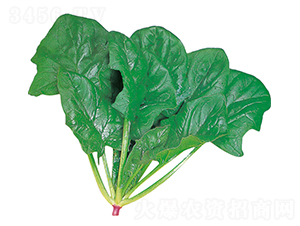 ����-���˷N��-�r(n��ng)����