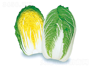 ÷�\-��ײ˷N��-�r����