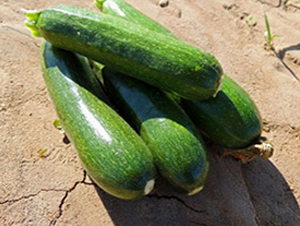 ��ɫ�����J��-�����J�N��-���N