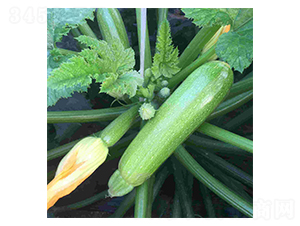 ���vɽ��2̖(h��o)-�����J�N��-���N