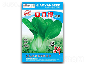 �������Ͳ�-�Ͳ˷N��-�z��