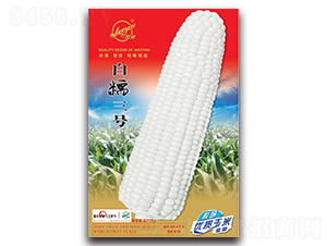 �z�а�Ŵ2̖-Ŵ���׷N��-�z��