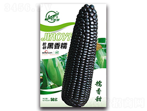 �z�к���Ŵ-Ŵ���׷N��-�z��