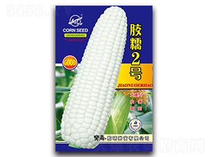 �zŴ2̖-Ŵ���׷N��-�z��