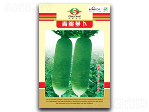 ����}��-�}���N��-�z��