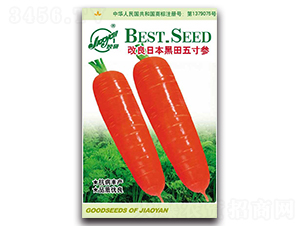 �����ձ�������煢-�}���N��-�z��