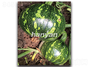 �h����̖-�ϹϷN��-�h��