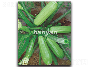 �h�@����-�����J�N��-�h��